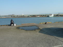 2.貝塚港（釣場への行き方）