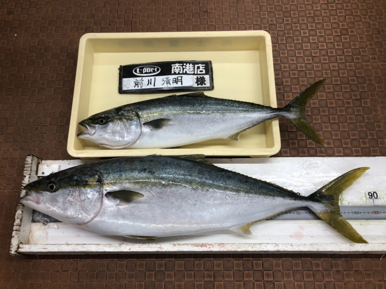 南港にてサバののませ釣りでブリ フィッシングｔポート 大阪 南港 貝塚 千葉県木更津にある釣具店