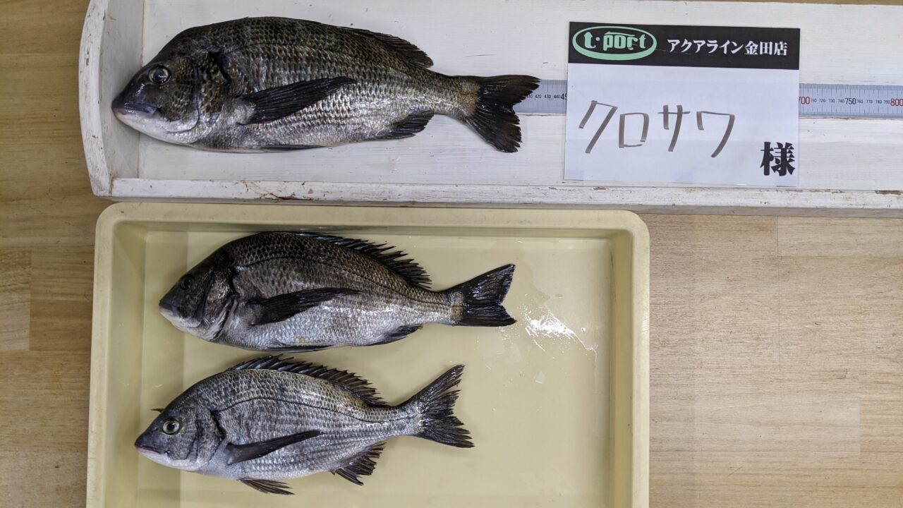 漁港の木板 漁港の看板 店舗ディスプレイ品 漁港の木板 漁港の看板