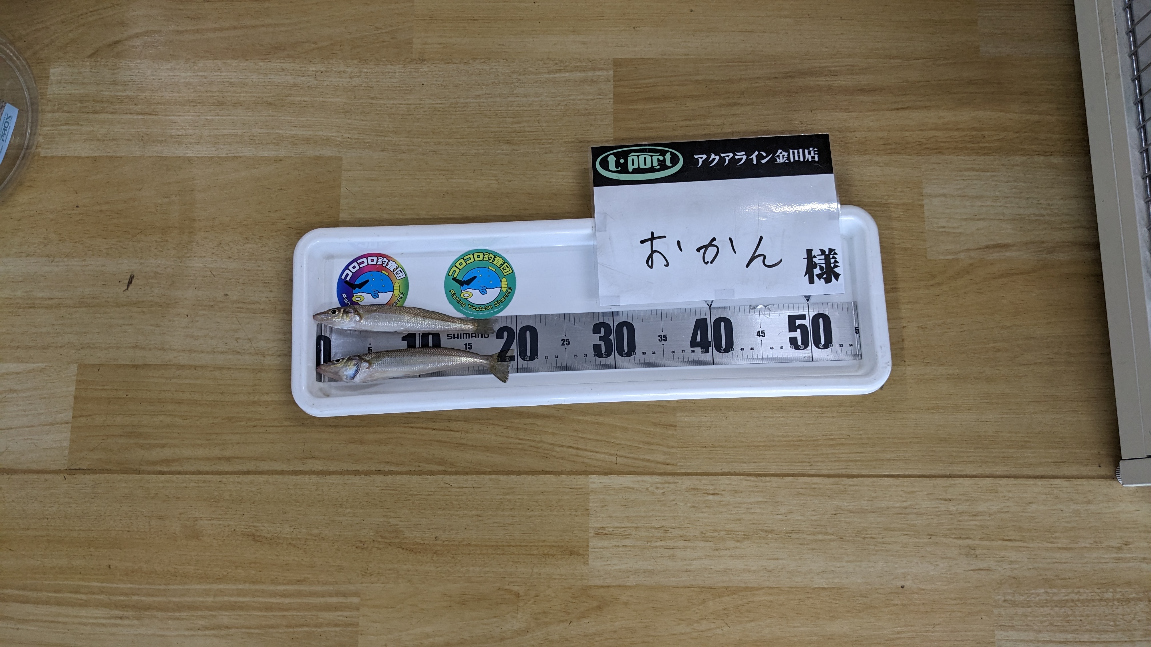フィッシングTポート｜大阪 南港・貝塚、千葉県木更津にある釣具店