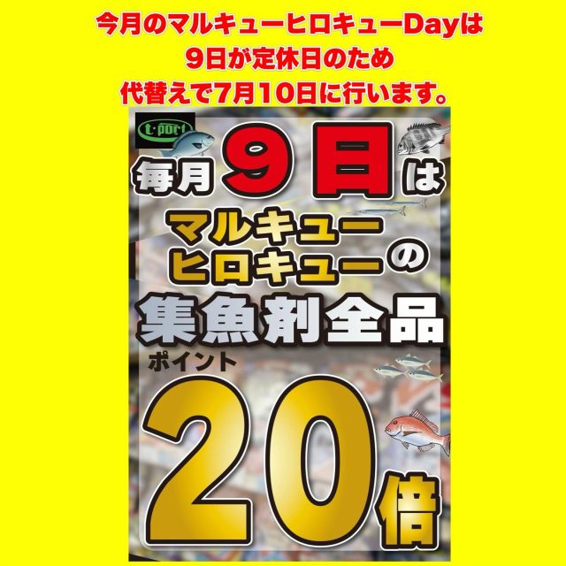 田尻漁港周辺でノマセ釣り♪ – フィッシングTポート｜大阪 南港