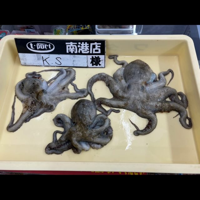 港町Barban様 リクエスト 10点 まとめ商品 南港店・貝塚店】年末年始セールのお知らせ！ – フィッシングT