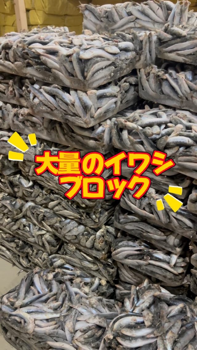 港町Barban様 リクエスト 10点 まとめ商品 Tポートアクアライン金田店2024サマーセール開催