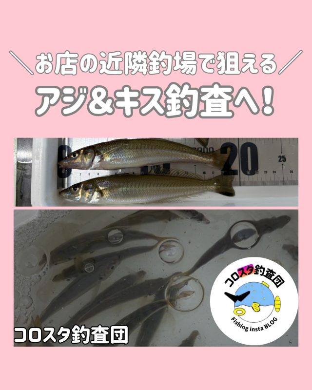 店舗案内（金田店） – フィッシングTポート｜大阪 南港・貝塚