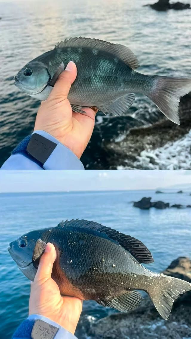 夜釣りの電気ウキ仕掛け – フィッシングTポート｜大阪 南港・貝塚