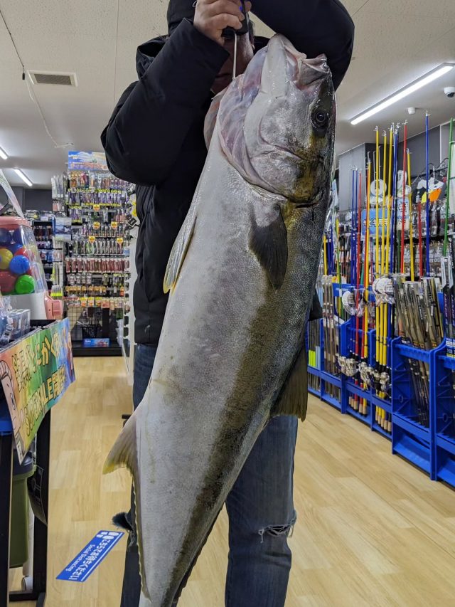 SUPER青イソメ – フィッシングTポート｜大阪 南港・貝塚、千葉県