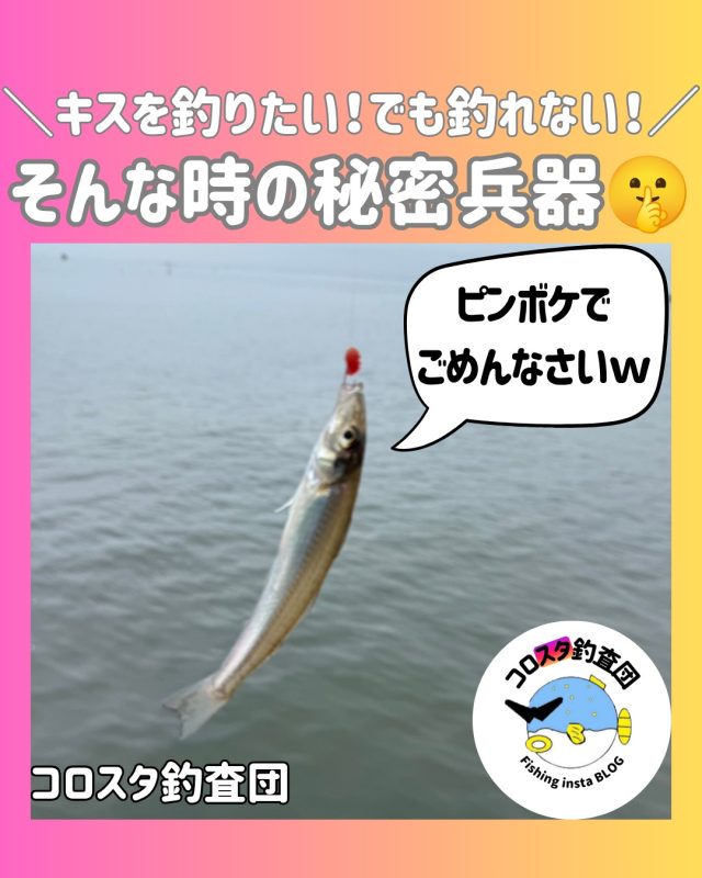 夜釣りの電気ウキ仕掛け – フィッシングTポート｜大阪 南港・貝塚