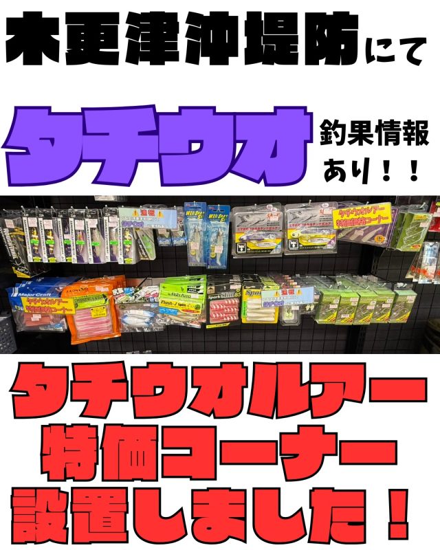 青イソメ – フィッシングTポート｜大阪 南港・貝塚、千葉県木更津に