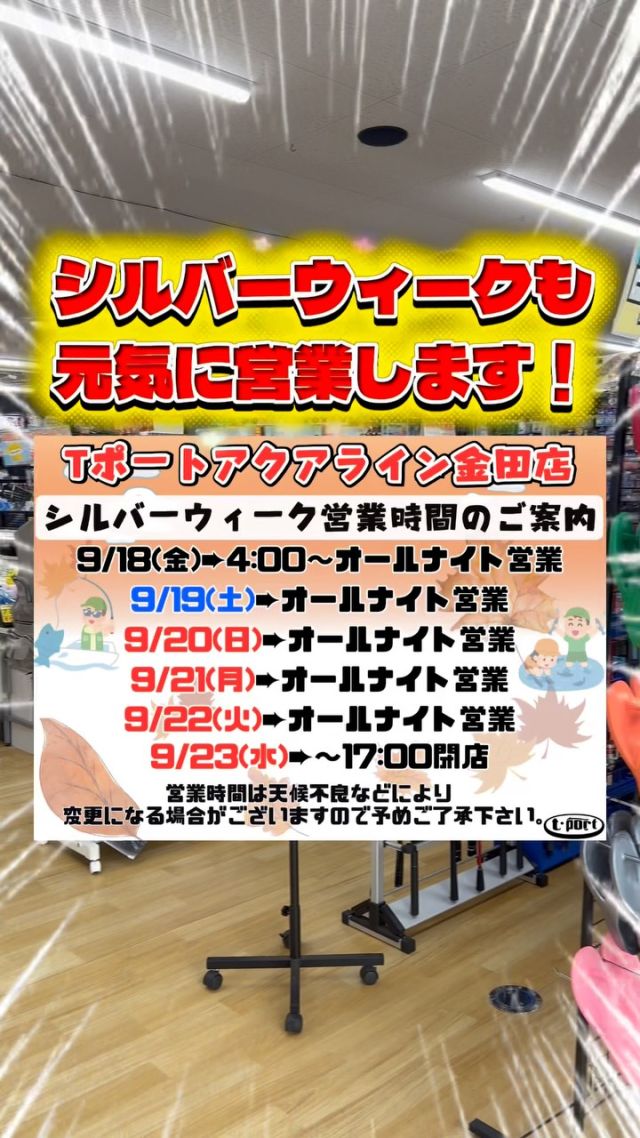 青イソメ – フィッシングTポート｜大阪 南港・貝塚、千葉県木更津に